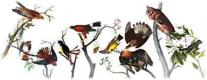 226 Aniversario del nacimiento de John James Audubon