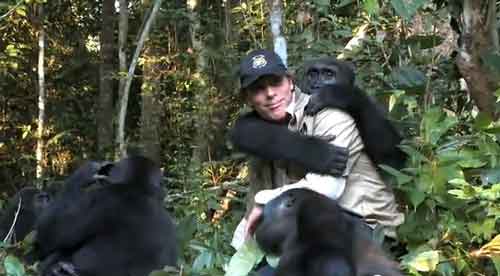 Hombre reencuentra a su gorila 5 años después